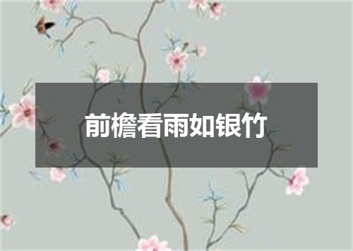 前檐看雨如银竹