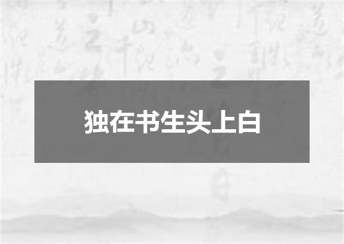 独在书生头上白