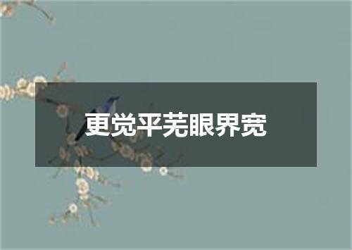 更觉平芜眼界宽