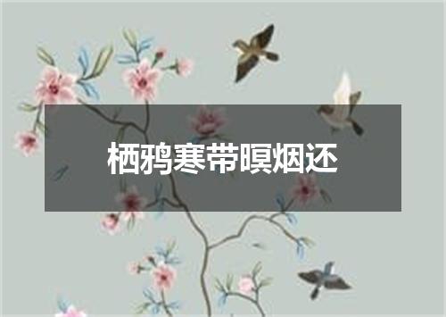 栖鸦寒带暝烟还