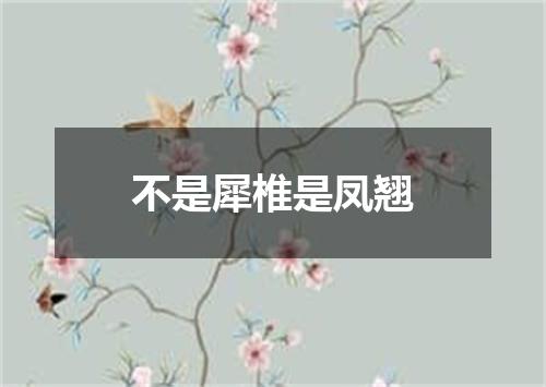 不是犀椎是凤翘