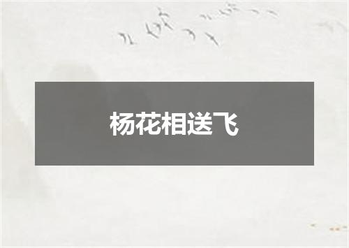 杨花相送飞