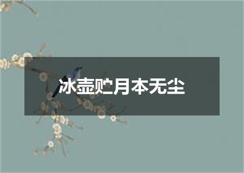冰壶贮月本无尘