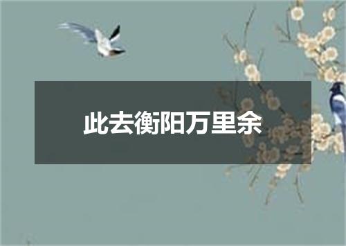此去衡阳万里余