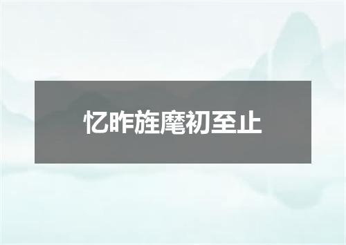 忆昨旌麾初至止