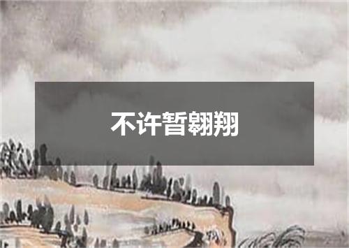 不许暂翱翔