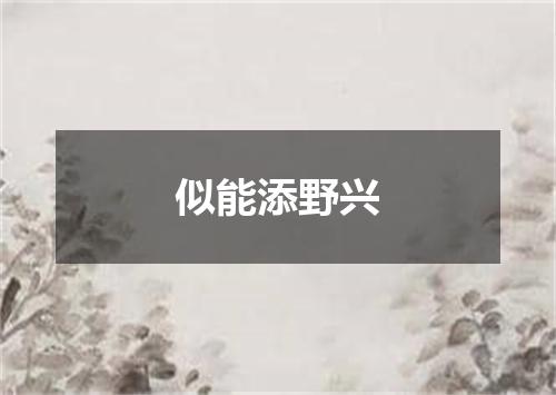 似能添野兴
