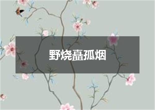 野烧矗孤烟