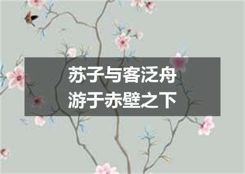 苏子与客泛舟游于赤壁之下
