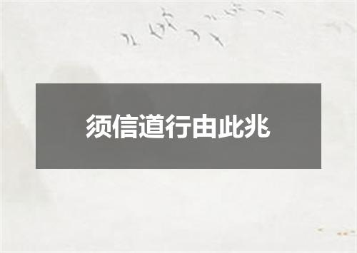 须信道行由此兆