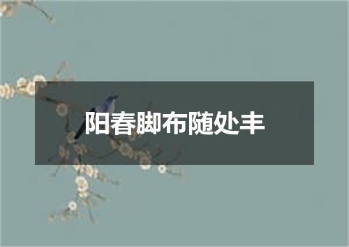阳春脚布随处丰
