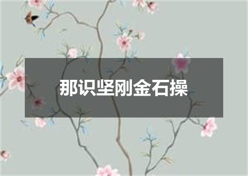 那识坚刚金石操