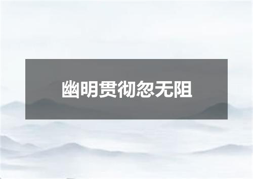 幽明贯彻忽无阻