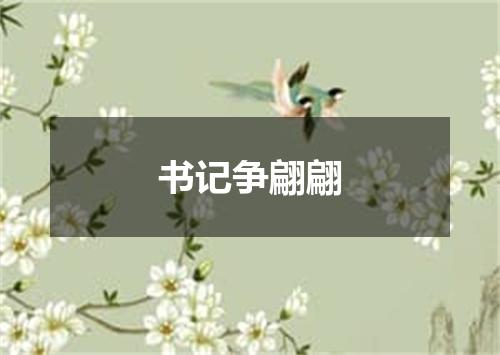 书记争翩翩