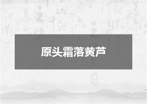 原头霜落黄芦