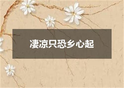 凄凉只恐乡心起