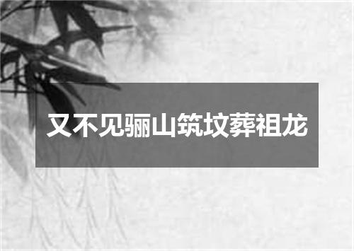 又不见骊山筑坟葬祖龙