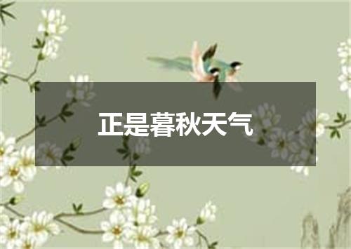 正是暮秋天气