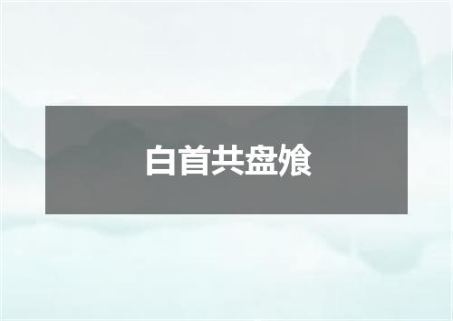 白首共盘飧