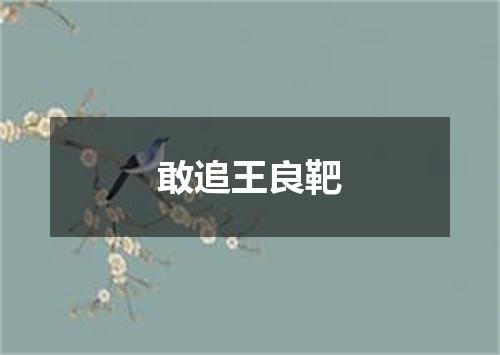 敢追王良靶