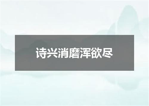 诗兴消磨浑欲尽