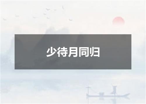 少待月同归