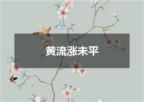 黄流涨未平