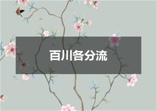 百川各分流