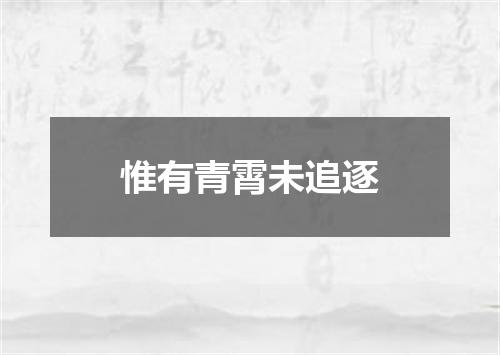 惟有青霄未追逐