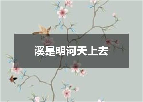 溪是明河天上去