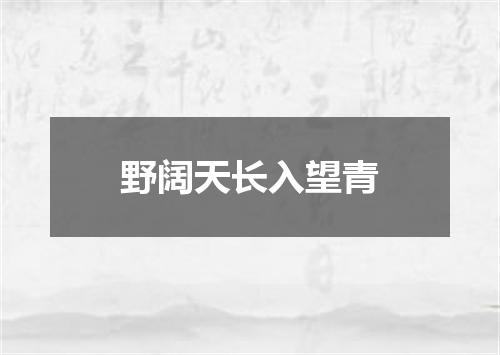 野阔天长入望青