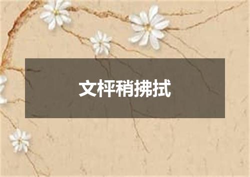 文枰稍拂拭