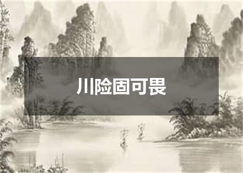 川险固可畏
