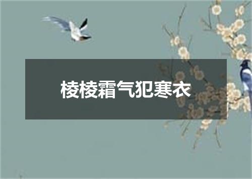 棱棱霜气犯寒衣