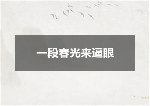 一段春光来逼眼
