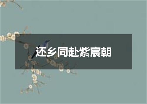 还乡同赴紫宸朝