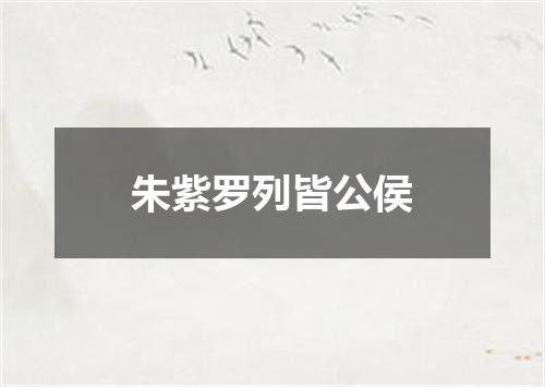 朱紫罗列皆公侯