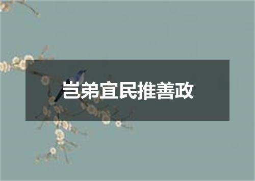 岂弟宜民推善政