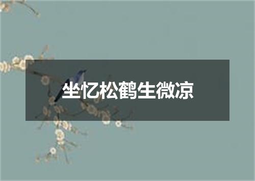 坐忆松鹤生微凉
