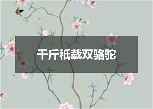 千斤秖载双骆驼