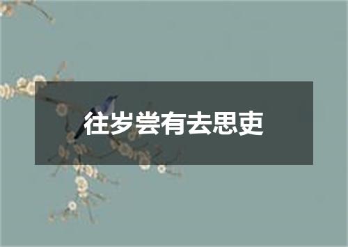 往岁尝有去思吏
