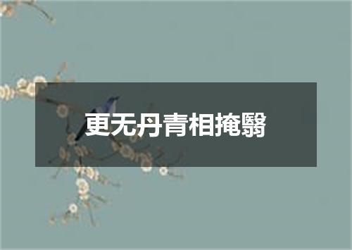更无丹青相掩翳