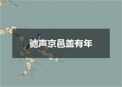 驰声京邑盖有年