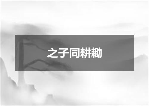 之子同耕耡