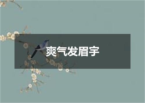 爽气发眉宇