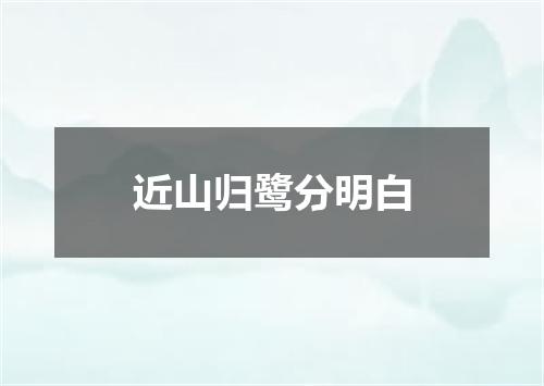 近山归鹭分明白
