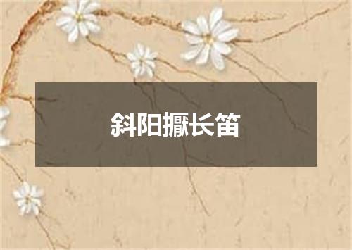 斜阳擫长笛