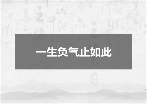 一生负气止如此