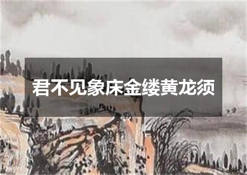 君不见象床金缕黄龙须