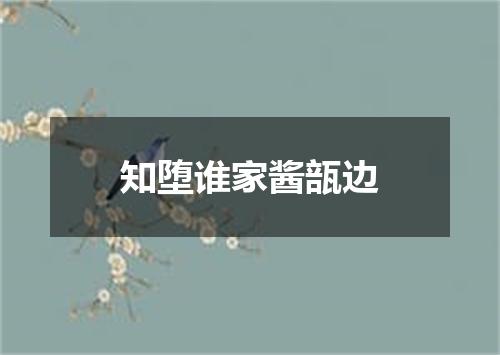 知堕谁家酱瓿边
